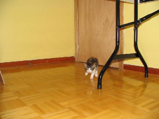 New Brunswick 2004 034.jpg